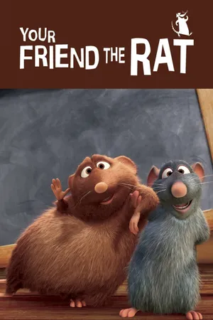 Your friend the rat